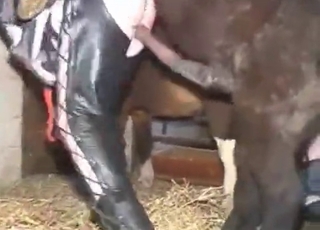 Bitchy chick is trying dirty stallion sex