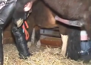 Bitchy chick is trying dirty stallion sex
