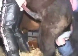 Bitchy chick is trying dirty stallion sex