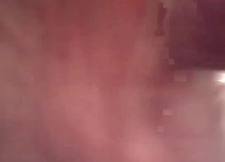 Banging my lovely animal from behind