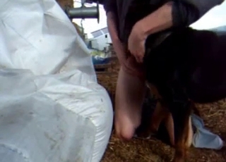 Dark dog and sexy male having nice sex