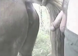 Preparing stallion ass for my loaded dick