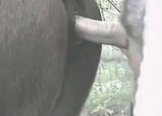 Preparing stallion ass for my loaded dick