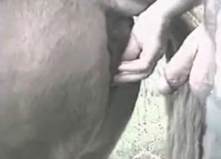 Preparing stallion ass for my loaded dick