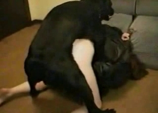 Cute black doggy fucking her wet cunt