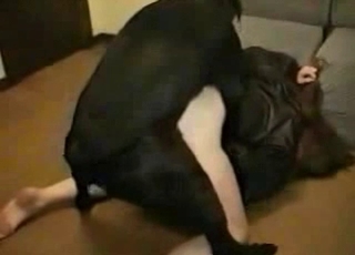 Cute black doggy fucking her wet cunt