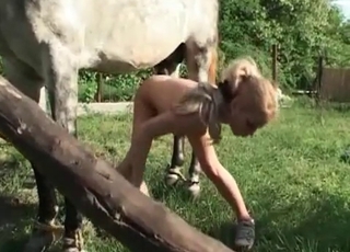 Stunning blonde is enjoying horse bestiality