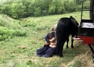Sexy zoofil fucking with big stallion