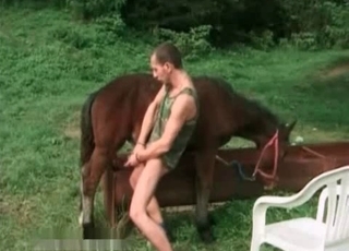 Stallion and male having nasty bestiality XXX