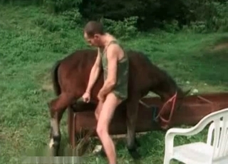 Stallion and male having nasty bestiality XXX
