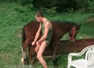Stallion and male having nasty bestiality XXX