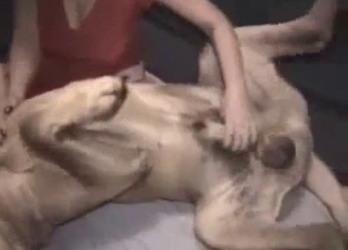 Tight pussy impaled by huge dog dick