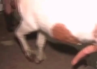 Animal cums a huge load in her tight hole