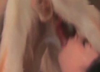 Awesome wet snatch fucked by huge stallion
