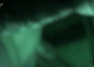 Night bestiality sex action with the beast