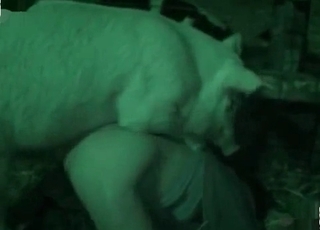 Night bestiality sex action with the beast