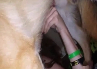 Good beast in amazing amateur animal sex
