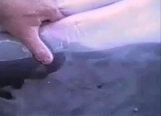 Playing with a massive dick of a dolphin
