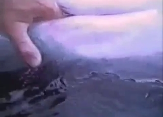 Playing with a massive dick of a dolphin