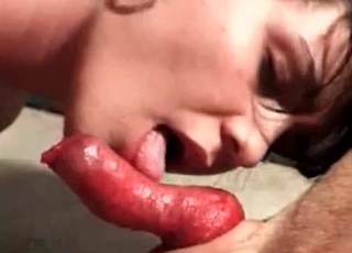 Brunette sucking a tasty retriever dick