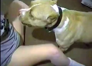 Perfect amateur sex with my lovely animal
