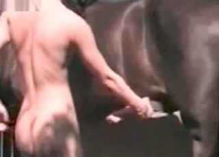 Good stallion and stunning dick-loving zoophile