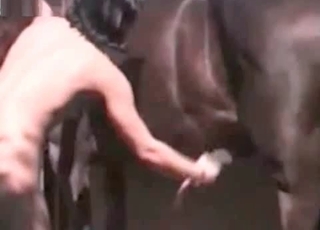 Good stallion and stunning dick-loving zoophile