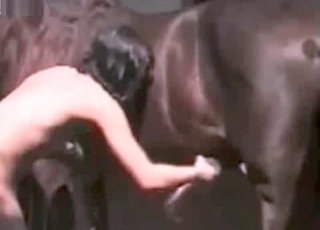 Good stallion and stunning dick-loving zoophile