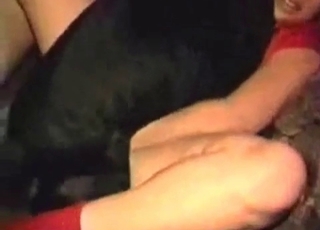 Quick and intensive bestiality XXX porn