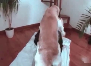 3D doggy fucking her so freaking brutal