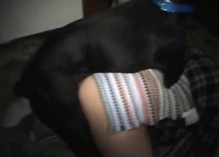 Good dog and hot chick having nice sex