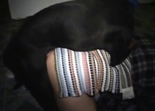 Good dog and hot chick having nice sex