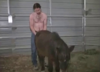Good trained farm animal fucked from behind