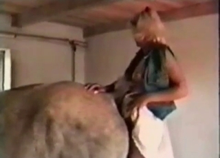 Gorgeous babe with strapon fucked a horse