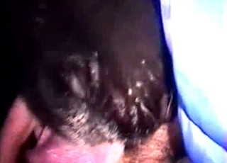 Bearded farmer sucking his lovely doggy