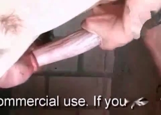 Jerking a massive stallion dick in barn