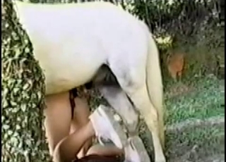 Curly chick is trying bestiality XXX
