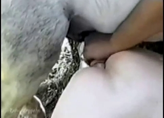 Curly chick is trying bestiality XXX