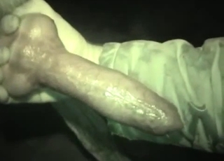 This doggy dick is looking so impressive