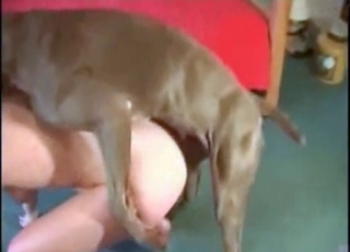 Good doggy with huge dick and zoofil