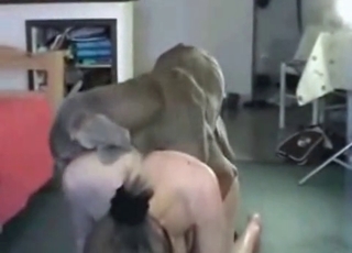 Good doggy with huge dick and zoofil