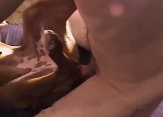 Fucking my own doggy in missionary pose