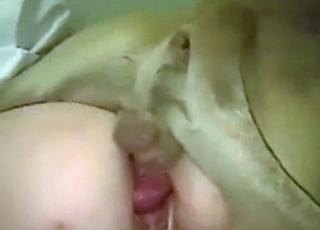 Amazing zoophile fucked hard by her dog