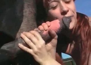 Perfect stallion fucking her wet cunt