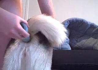 Stimulating tight anus of a sexy doggy