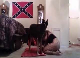 Good amateur bestiality with doggy