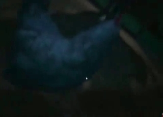3D stallion fucking a slender Asian chick