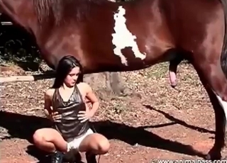 Big stallion dick sucked by amazing zoofil