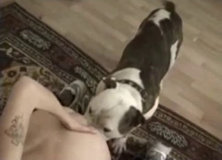 Stunning beast is enjoying bestiality XXX