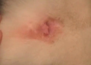 Man is licking a tight ass of an animal